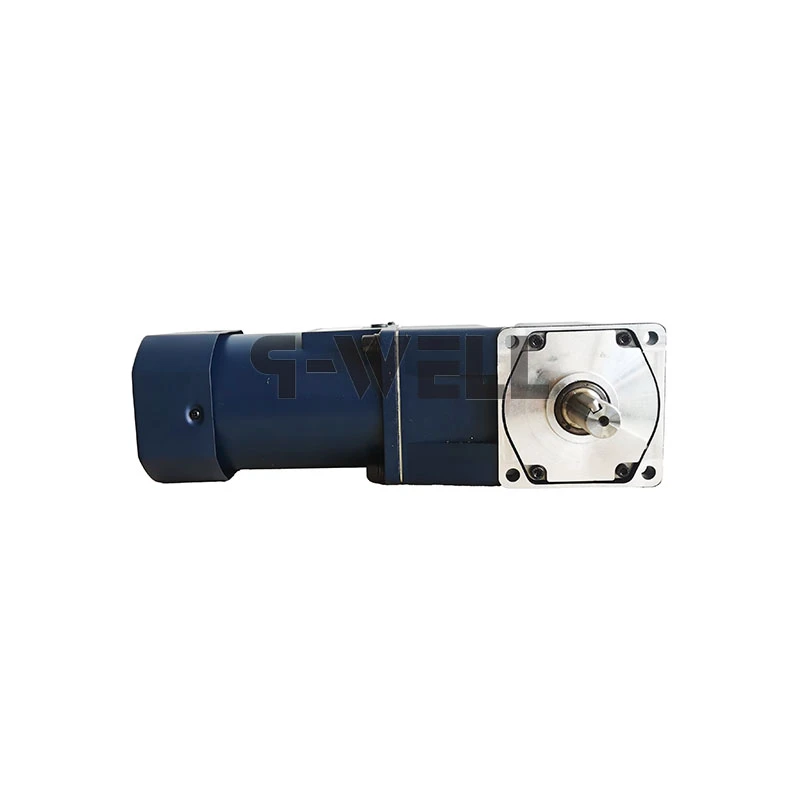 Right Angle Gear Motor